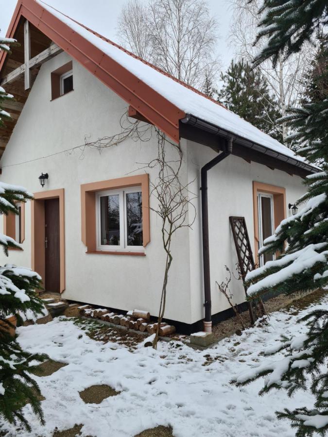 Hotelik Pod Roza Wojtowo Eksteriør billede